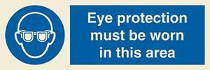 Eye protection must be worn in this area + symbol